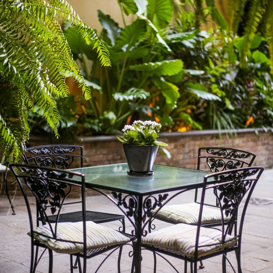 Wrought-iron patio table and chairs set in a lush courtyard, surrounded by vibrant ferns and large plants.