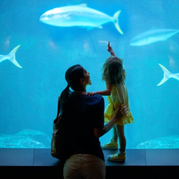 Shot of a young family enjoying a day at the aquarium