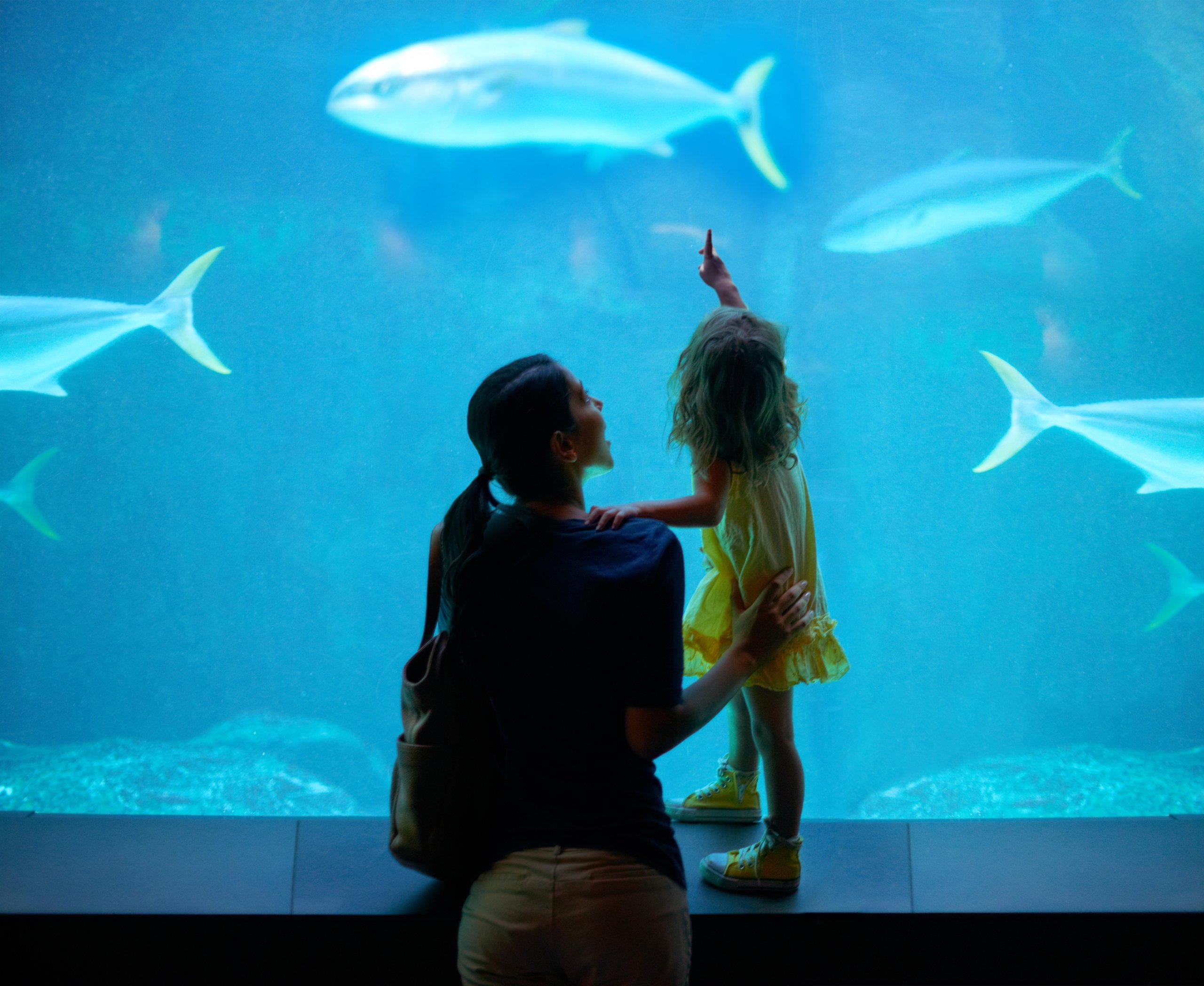 Shot of a young family enjoying a day at the aquarium