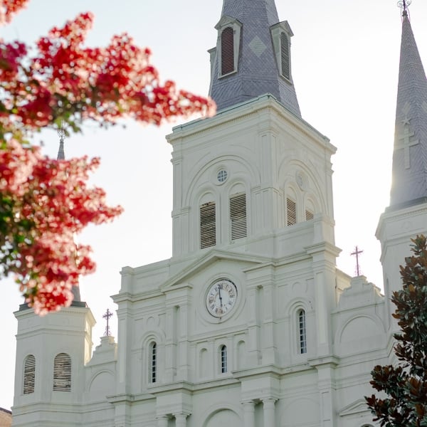 Close-up of the white facade of St. Louis Cathedral with its clock face and central spire, framed by bright red flowering branches.
