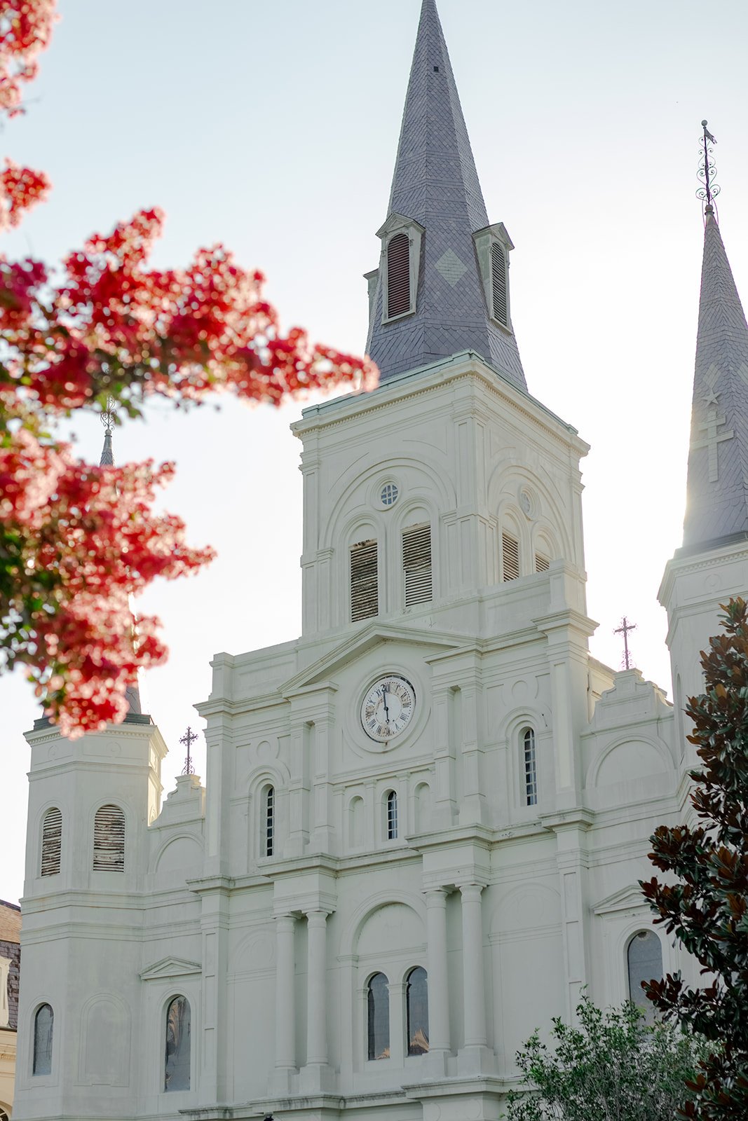Close-up of the white facade of St. Louis Cathedral with its clock face and central spire, framed by bright red flowering branches.