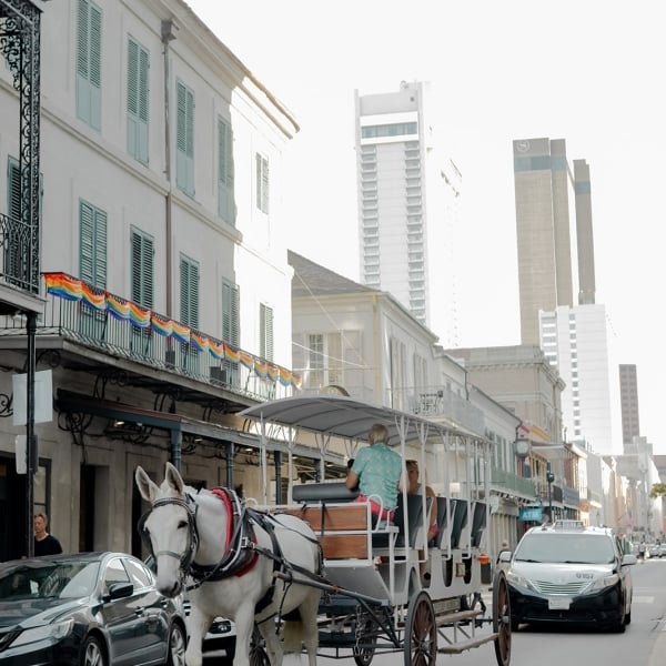 A white horse pulling a carriage with tourists down a historic French Quarter street lined with white buildings, with modern skyscrapers visible in the background.