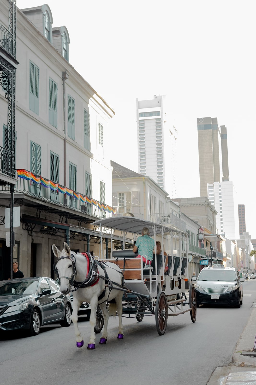 A white horse pulling a carriage with tourists down a historic French Quarter street lined with white buildings, with modern skyscrapers visible in the background.