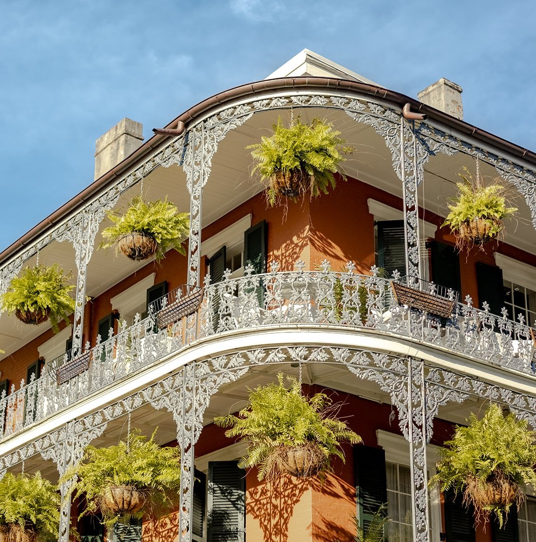 A close-up of a curved corner balcony on a French Quarter building, decorated with ornate ironwork and hanging ferns.