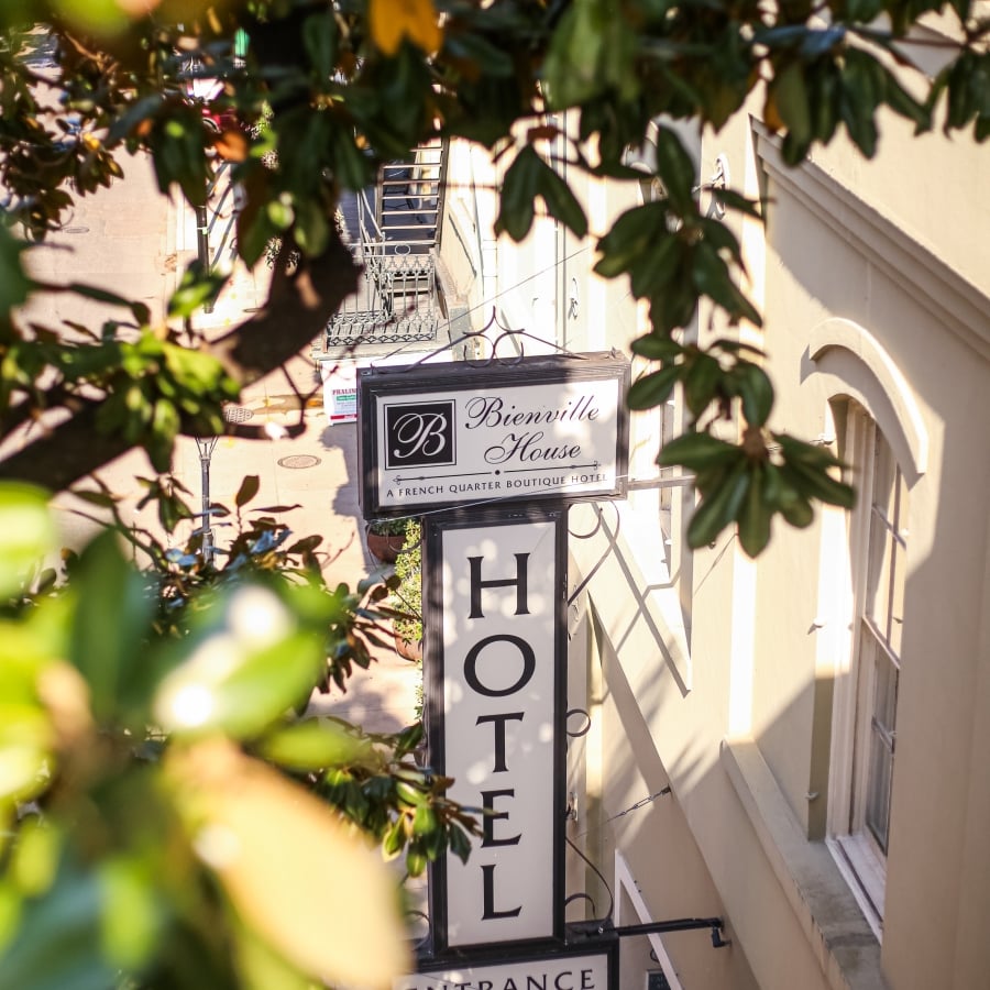 An overhead shot of the Bienville House Hotel entrance sign hanging among the leaves of a magnolia tree.